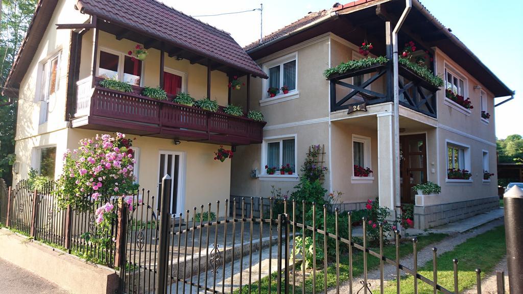 Casa Georgeta Guest House Bran  Exterior foto